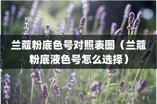 兰蔻粉底色号对照表图（兰蔻粉底液色号怎么选择）