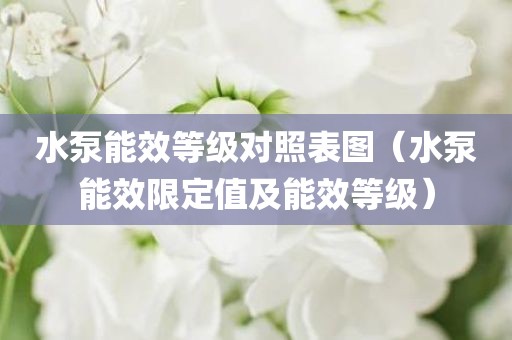 水泵能效等级对照表图（水泵能效限定值及能效等级）