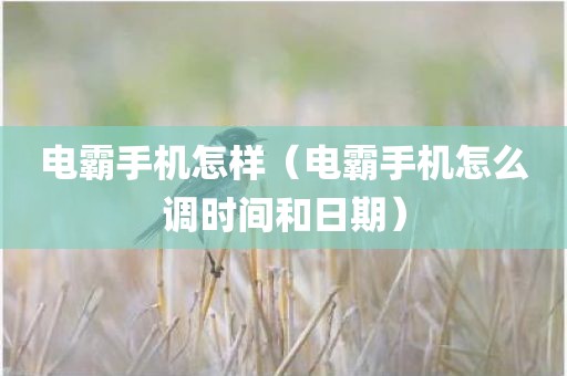 电霸手机怎样（电霸手机怎么调时间和日期）