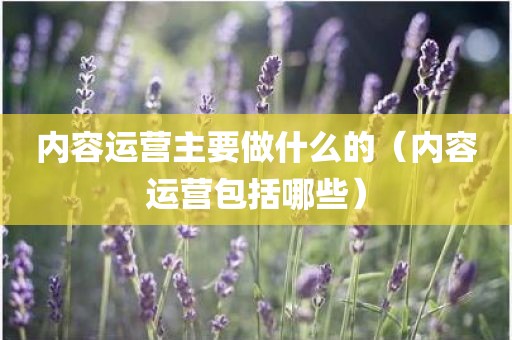内容运营主要做什么的（内容运营包括哪些）