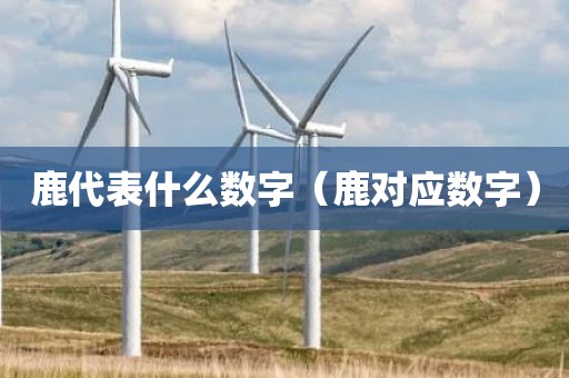 鹿代表什么数字（鹿对应数字）