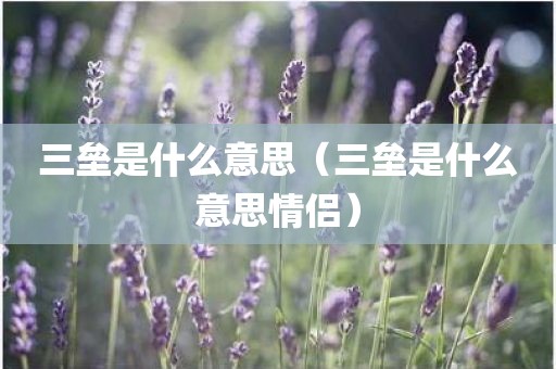 三垒是什么意思（三垒是什么意思情侣）