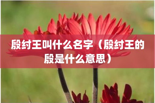 殷纣王叫什么名字（殷纣王的殷是什么意思）