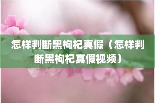 怎样判断黑枸杞真假（怎样判断黑枸杞真假视频）