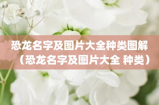 恐龙名字及图片大全种类图解(恐龙名字及图片大全 种类) 恐龙名字及图片大全种类图解(恐龙名字及图片大全 种类)
