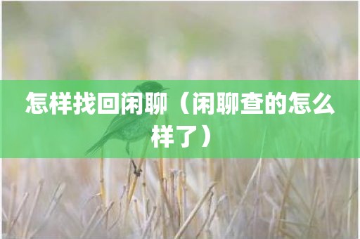 怎样找回闲聊（闲聊查的怎么样了）