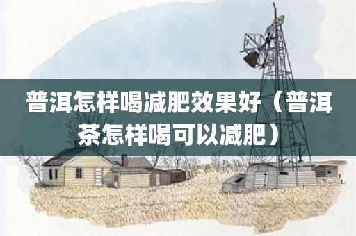普洱怎样喝减肥效果好（普洱茶怎样喝可以减肥）