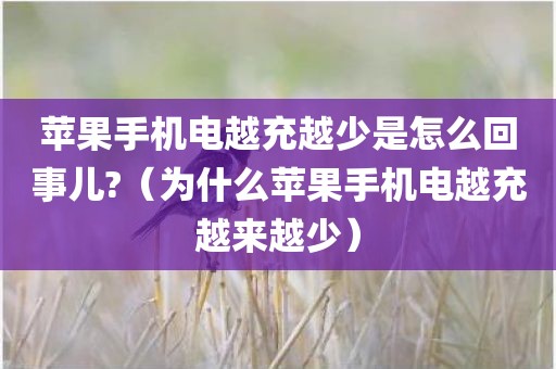 苹果手机电越充越少是怎么回事儿?（为什么苹果手机电越充越来越少）