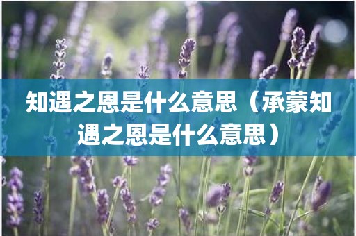 知遇之恩是什么意思（承蒙知遇之恩是什么意思）