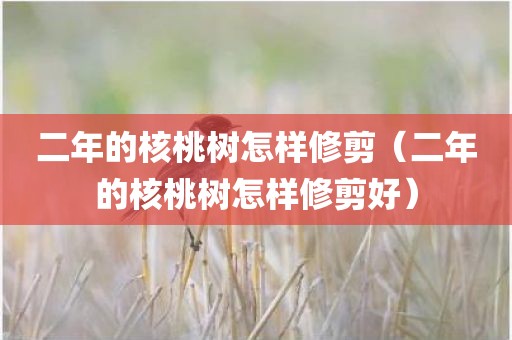 二年的核桃树怎样修剪（二年的核桃树怎样修剪好）