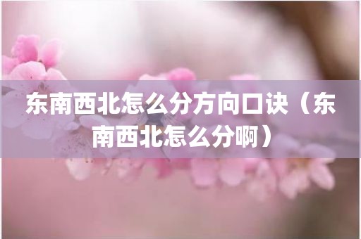 东南西北怎么分方向口诀（东南西北怎么分啊）