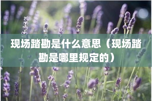 现场踏勘是什么意思（现场踏勘是哪里规定的）