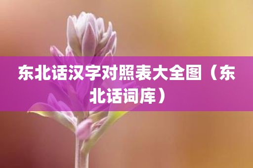 东北话汉字对照表大全图（东北话词库）