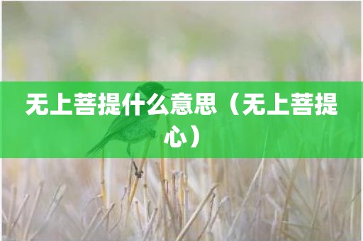 无上菩提什么意思（无上菩提心）