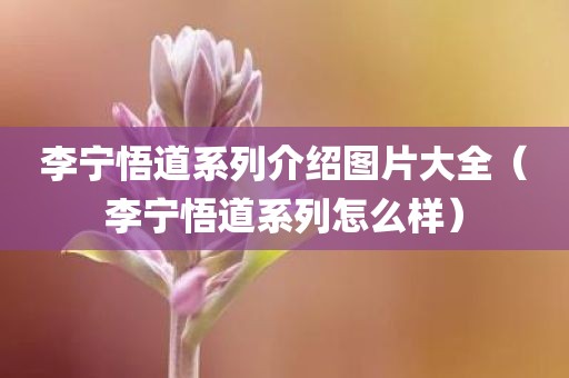 李宁悟道系列介绍图片大全（李宁悟道系列怎么样）