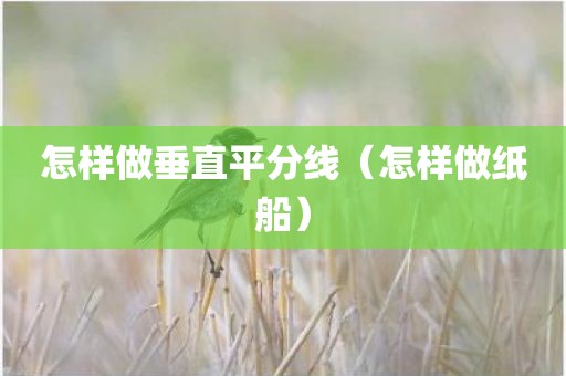 怎样做垂直平分线（怎样做纸船）