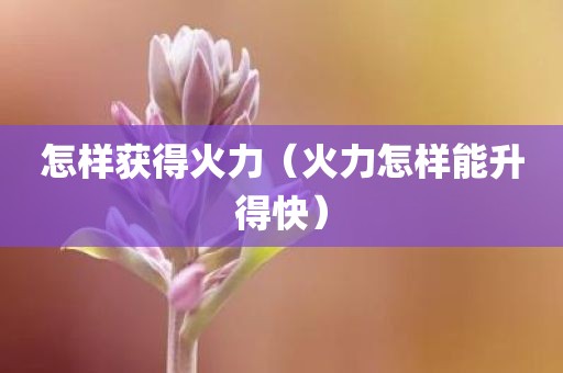 怎样获得火力（火力怎样能升得快）