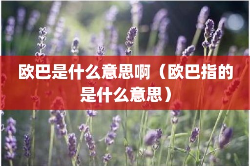 欧巴是什么意思啊(欧巴指的是什么意思)