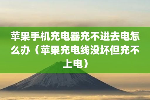 苹果手机充电器充不进去电怎么办（苹果充电线没坏但充不上电）