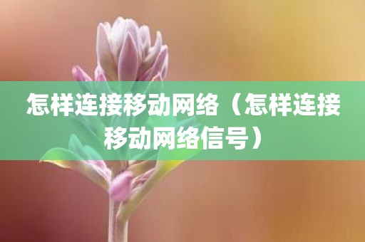怎样连接移动网络（怎样连接移动网络信号）