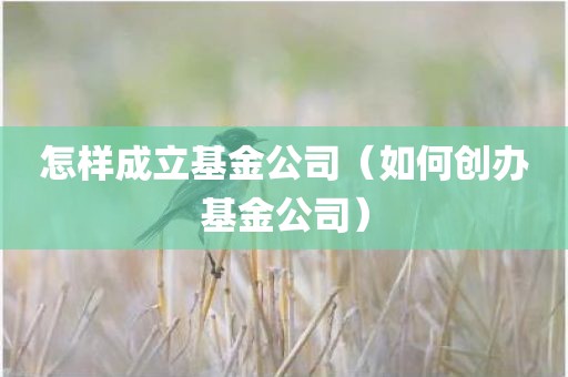 怎样成立基金公司（如何创办基金公司）