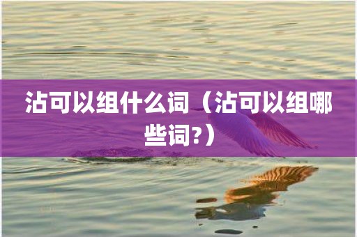 沾可以组什么词（沾可以组哪些词?）