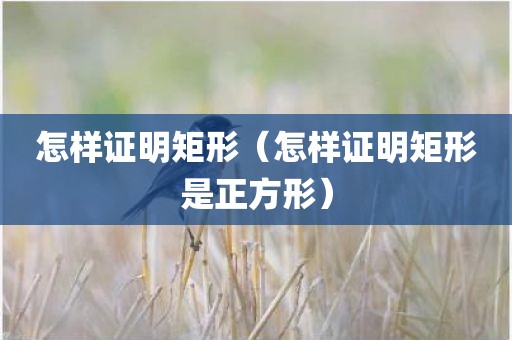 怎样证明矩形（怎样证明矩形是正方形）
