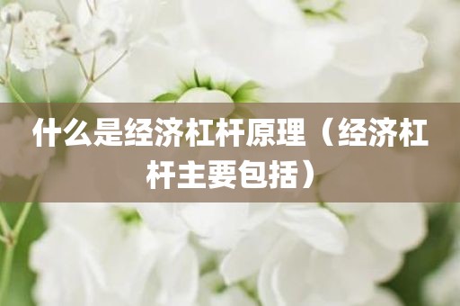 什么是经济杠杆原理（经济杠杆主要包括）