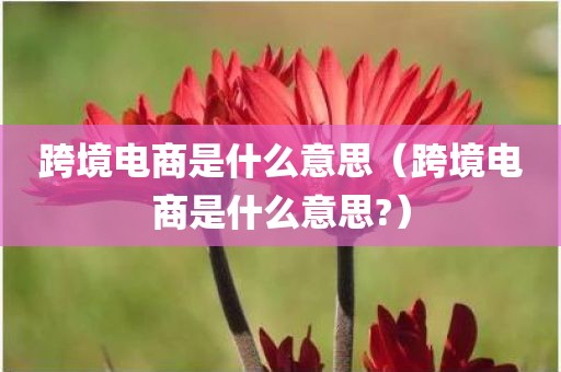 跨境电商是什么意思（跨境电商是什么意思?）