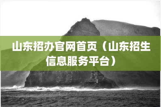 山东招办官网首页（山东招生信息服务平台）