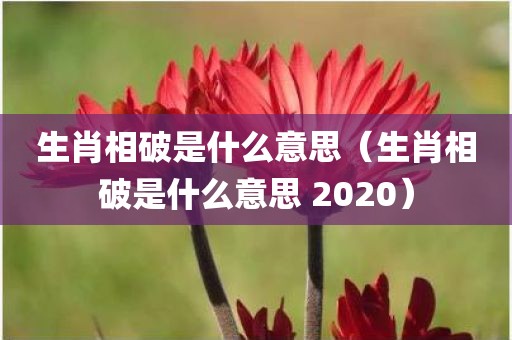 生肖相破是什么意思（生肖相破是什么意思 2020）