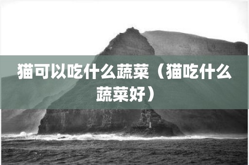 猫可以吃什么蔬菜（猫吃什么蔬菜好）