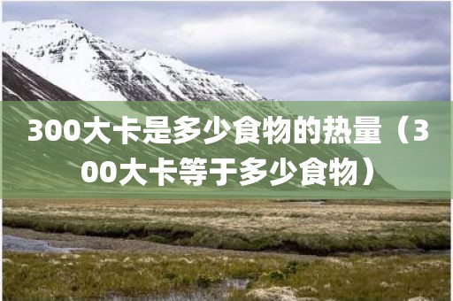 300大卡是多少食物的热量（300大卡等于多少食物）