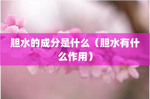 胆水的成分是什么（胆水有什么作用）