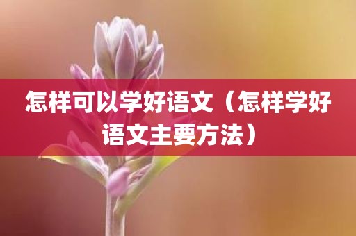 怎样可以学好语文（怎样学好语文主要方法）