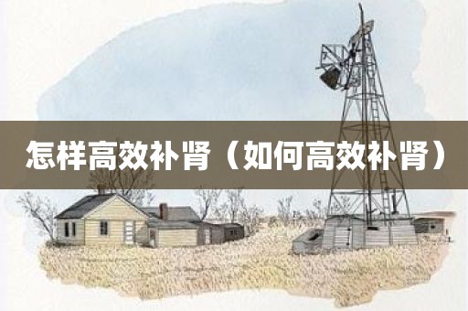 怎样高效补肾（如何高效补肾）