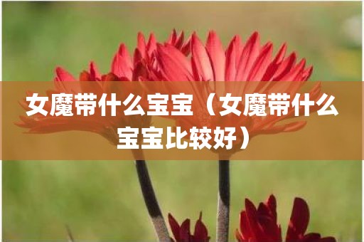 女魔带什么宝宝（女魔带什么宝宝比较好）