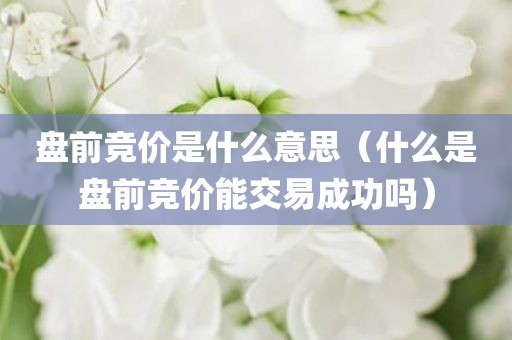 盘前竞价是什么意思（什么是盘前竞价能交易成功吗）