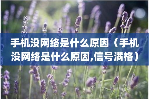 手机没网络是什么原因（手机没网络是什么原因,信号满格）