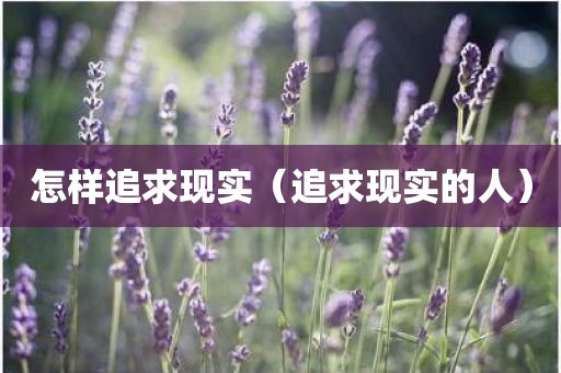 怎样追求现实（追求现实的人）