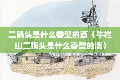 二锅头是什么香型的酒（牛栏山二锅头是什么香型的酒）