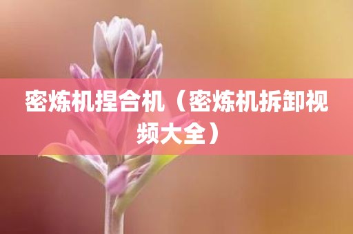 密炼机捏合机(密炼机拆卸视频大全)