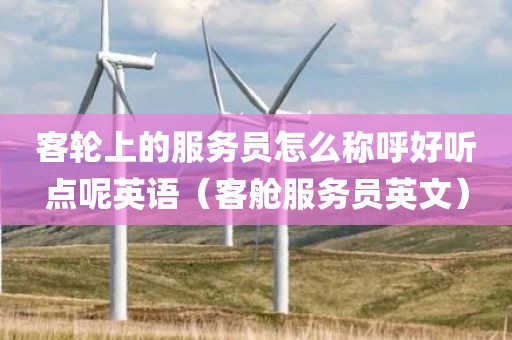 客轮上的服务员怎么称呼好听点呢英语（客舱服务员英文）