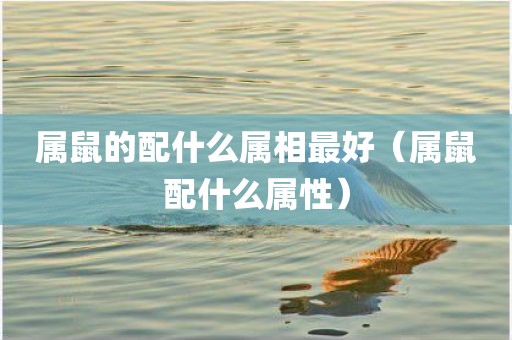 属鼠的配什么属相最好（属鼠配什么属性）
