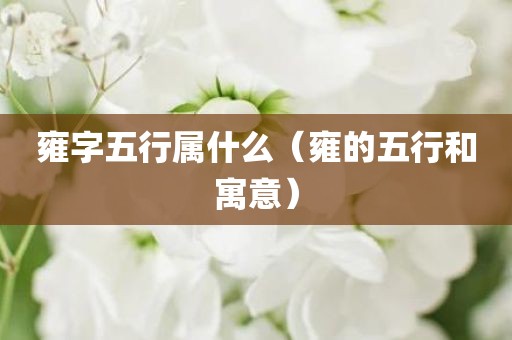 雍字五行属什么（雍的五行和寓意）