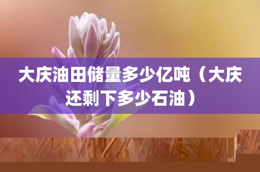 大庆油田储量多少亿吨(大庆还剩下多少石油)