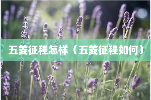 五菱征程怎样（五菱征程如何）