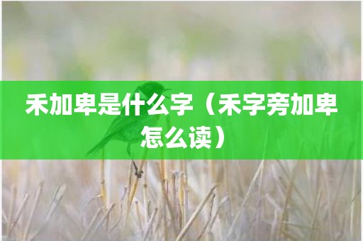 禾加卑是什么字（禾字旁加卑怎么读）
