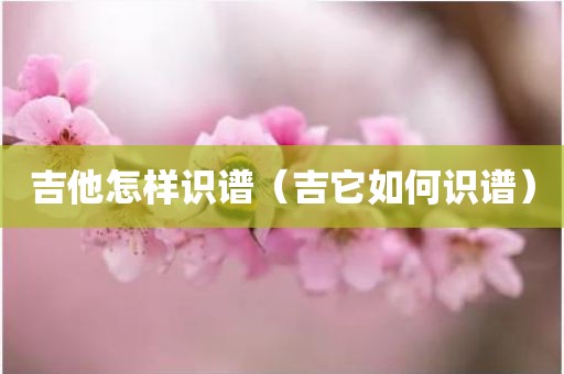 吉他怎样识谱（吉它如何识谱）