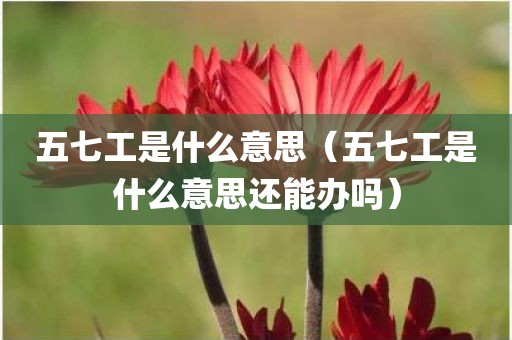 五七工是什么意思（五七工是什么意思还能办吗）